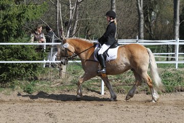 Bild 471 - WBO-Turnier am 9.4.11
